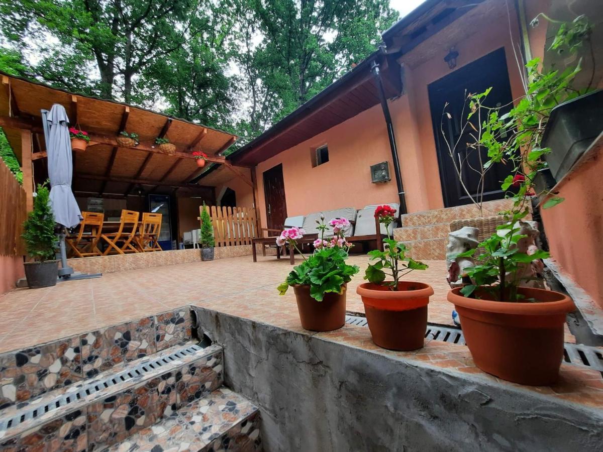 Casa De Vacanta Emd Ieşelniţa Exterior foto
